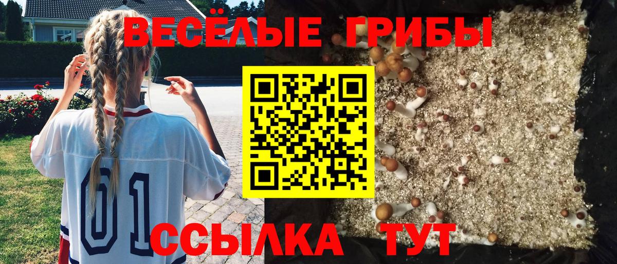 Долгопрудный  Галлюциногенные грибы мухоморы  Вход с VPN 